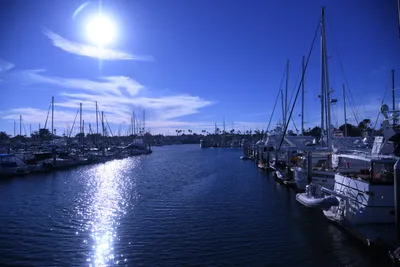 DSC_0875 (Large).JPG